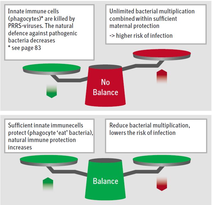 Figure 1 Image