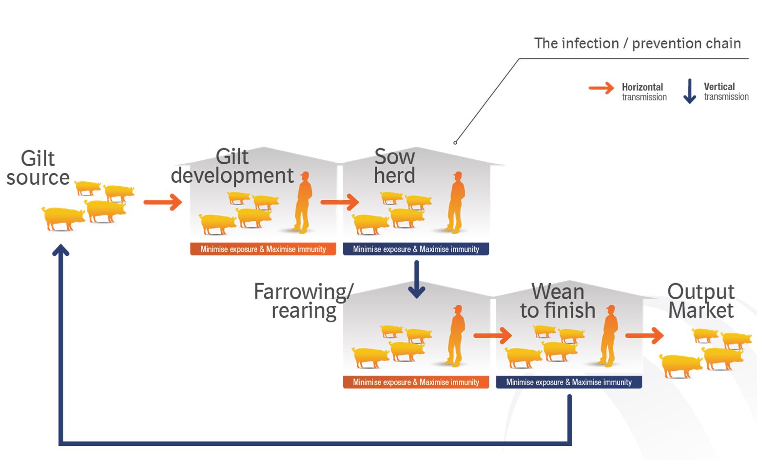 Figure 2 Image