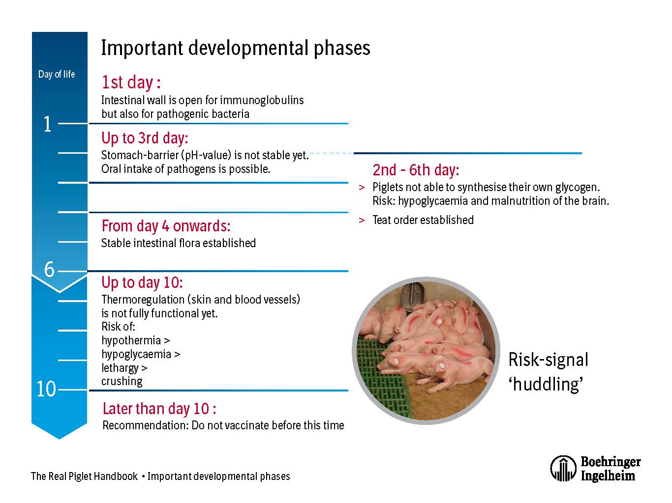 Figure 1 Image