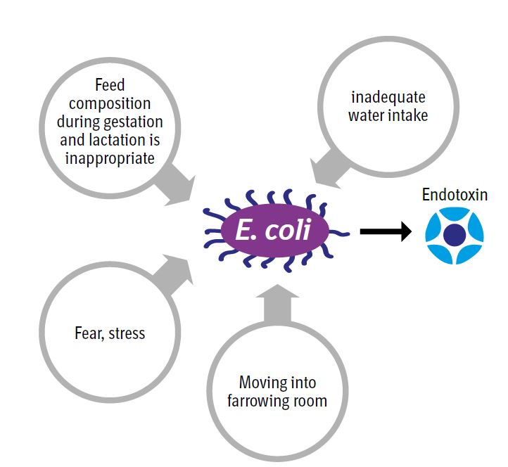 Figure 1 Image