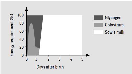 Figure 1 Image