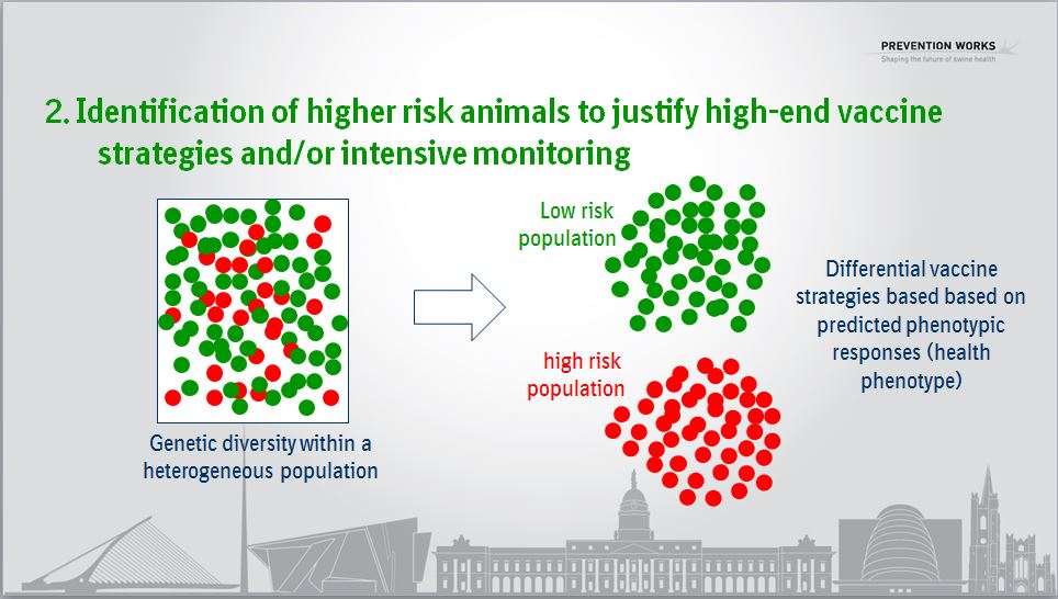 Figure 3 Image