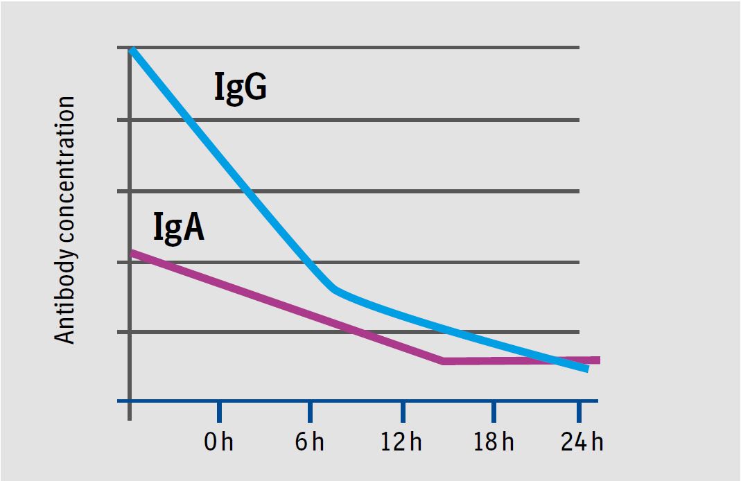 THE DECISIVE HOURS | Preventionworks.info