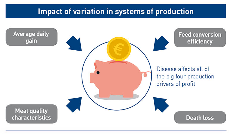 Figure 1 Image