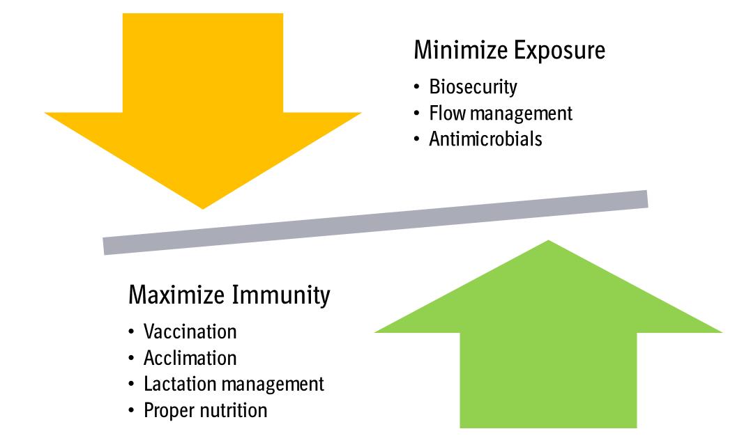 Figure 3 Image