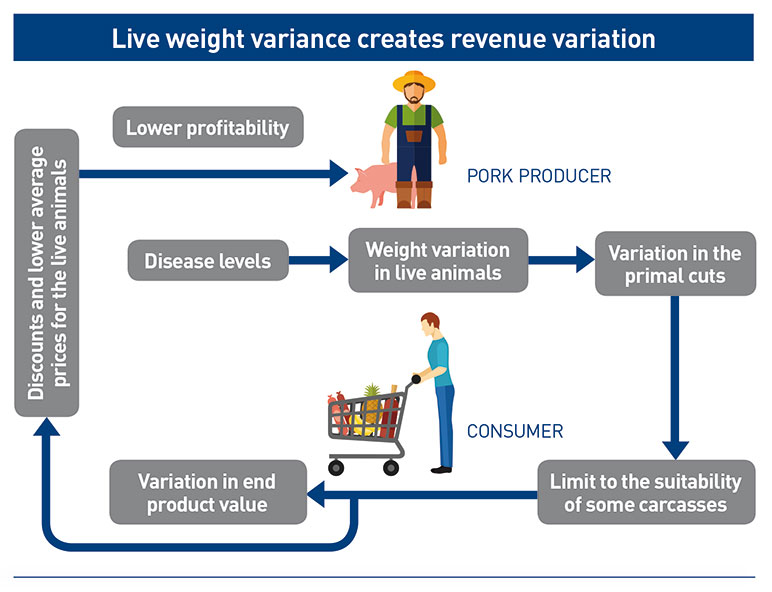 Figure 1 Image