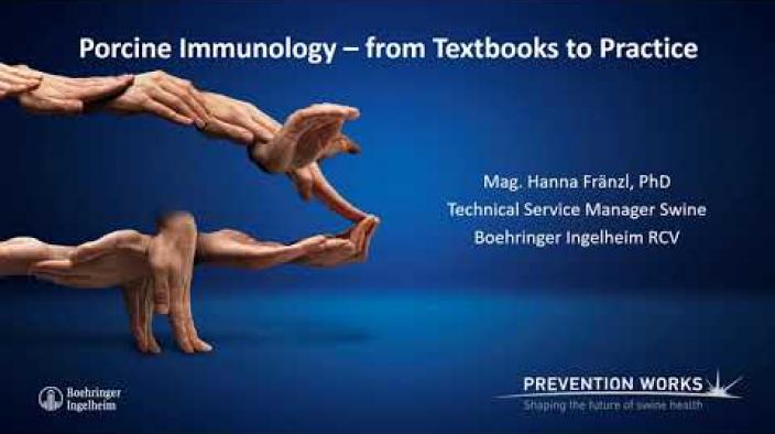 Porcine Immunology From Textbooks to Practice