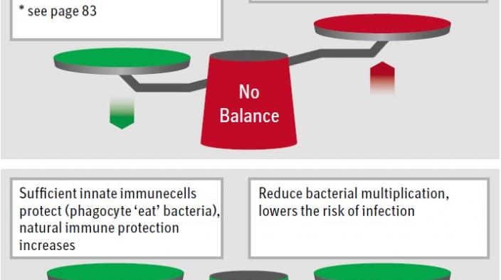 BACTERIOLOGICAL PROTECTION – ALSO A MATTER OF BALANCE