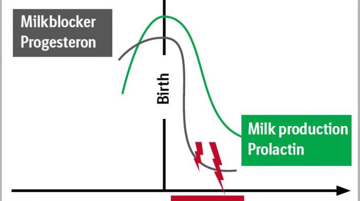 MILK FLOW - HORMONAL BLOCKING