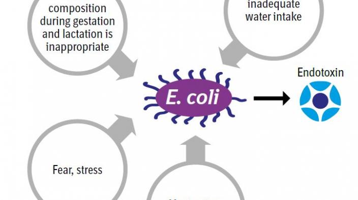 ARLY DETECTION OF INADEQUATE MILK PRODUCTION (HYPOGALACTIA)